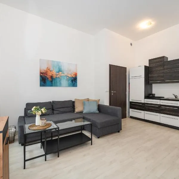 Brno CITY apartment โรงแรมในเบอร์โน
