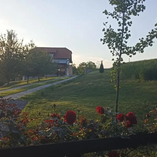 Stari Tršić, hotel v destinaci TrÅ¡iÄ‡