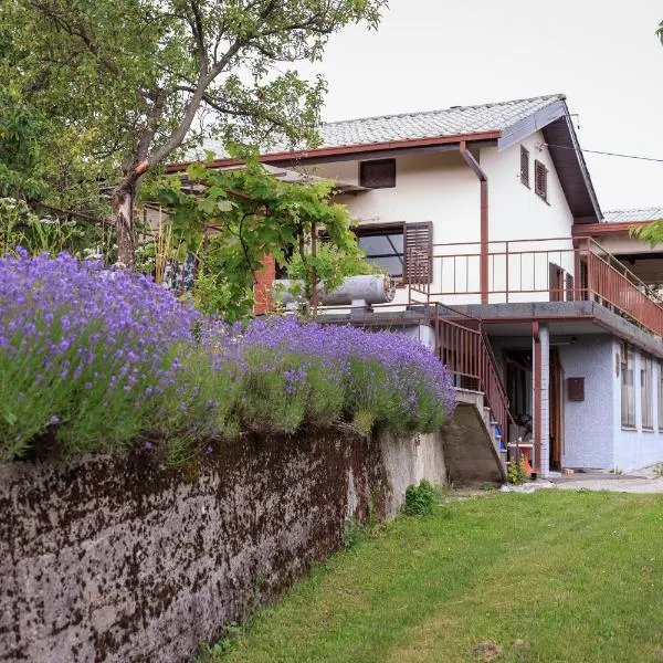 Podgozd Holiday House, hotel v destinaci Trnovo