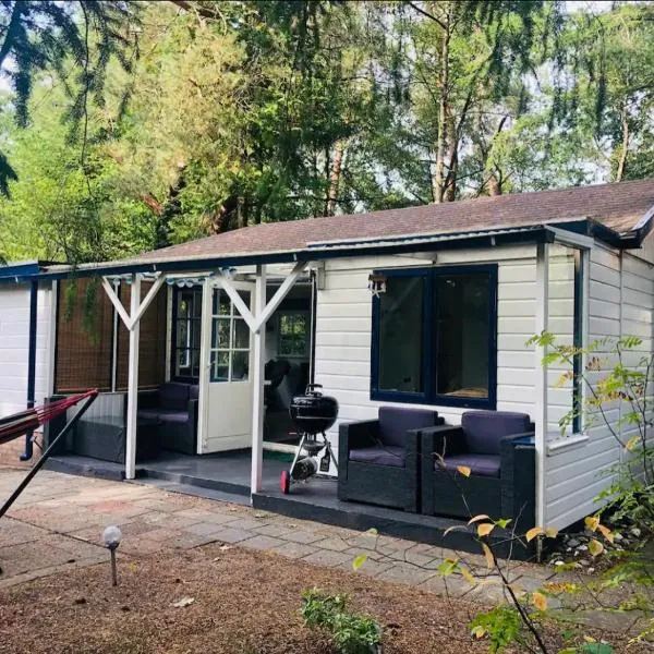 Forest Cottage Hattem, hotell sihtkohas Hattemerbroek