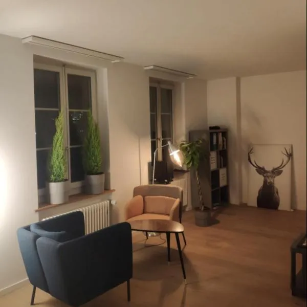 תמונה של מלון  Loft im Herzen der Berner Altstadt