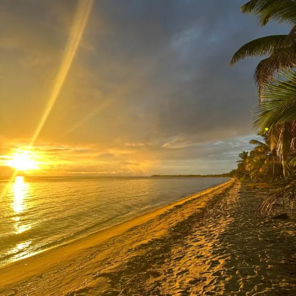 All Seasons Belize, hotel v destinaci Hopkins