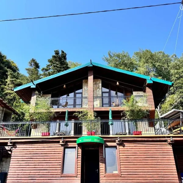 The Grand Hotel Bakuriani, hotel in Bakuriani