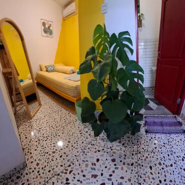 The Backyard Hostel, hotel a Timuran