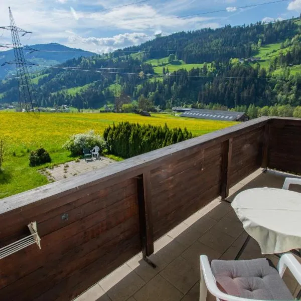 Huberhof 5 by Alpenidyll Apartments、シュラートミンクのホテル