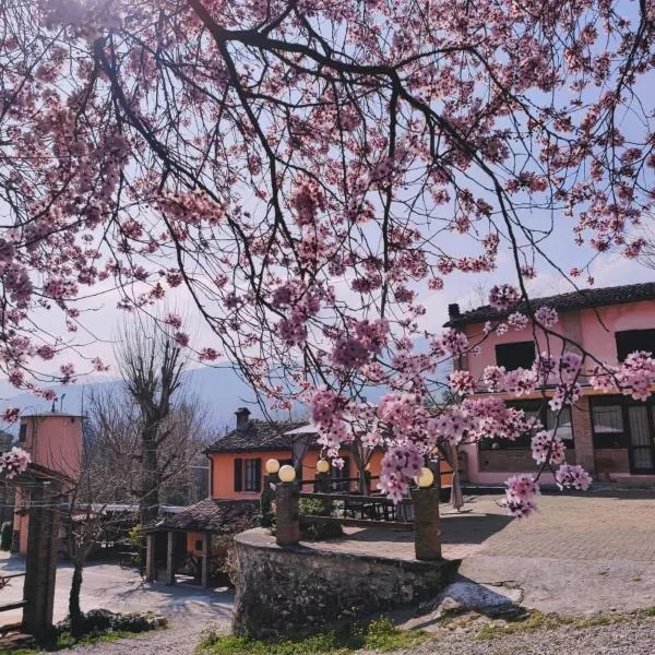 Agriturismo Villa Enrichetta, hotel Bettolában
