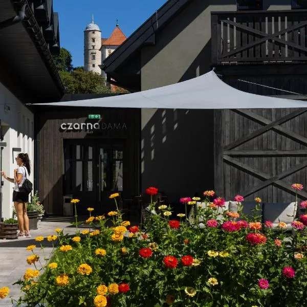 Czarna Dama Apartamenty, hotel v destinaci Janowiec