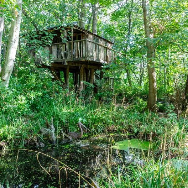 The Treehouse at Castle Cottage, hotel v destinaci Pulborough
