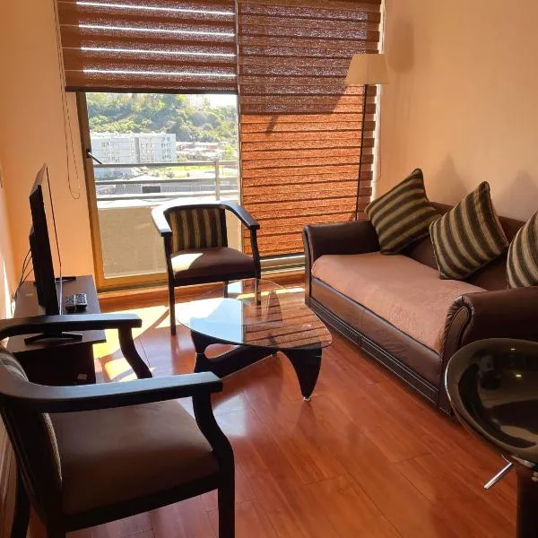 Departamento Aníbal Pinto Concepción, hotel en Concepción