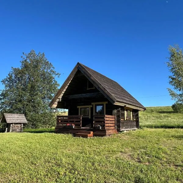 Lakeside cabin with saunas, hot-tub options, hotel v destinaci Antsla