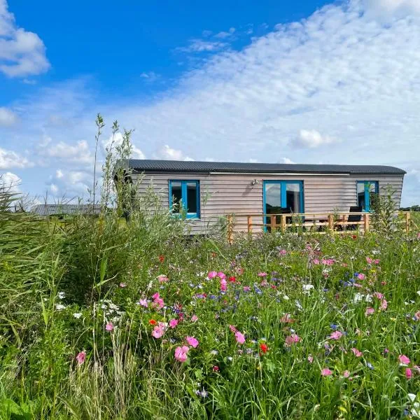 Schäferwagen Tiny House auf dem Friesenhof, hotel v destinaci Pellworm
