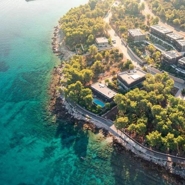 Maslina Resort, hotel v Starom Grade