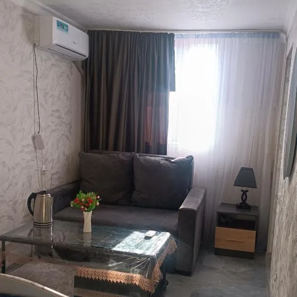 Tevosyan Pluse Evn Airport, hotel in Pʼarakʼar