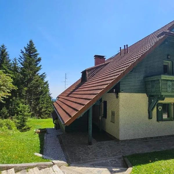 Apartma Jurček Rogla, ξενοδοχείο σε Rakovec