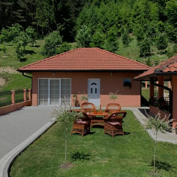 Apartmani Markovic, hotel v destinaci Arilje