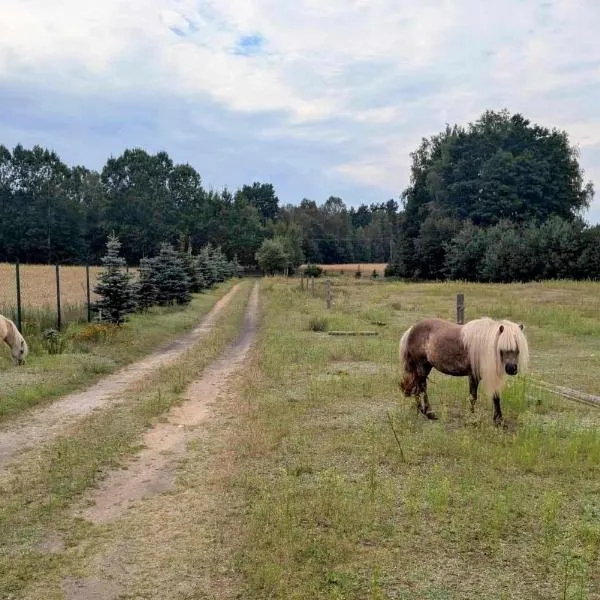 Hacienda Natura Agroturystyka, hotel in Warlubie