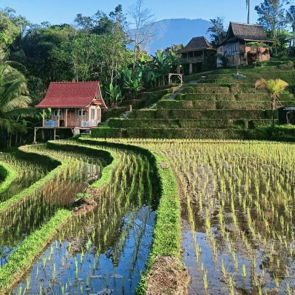 D'Ume Bendoel Homestay, khách sạn ở Jatiluwih