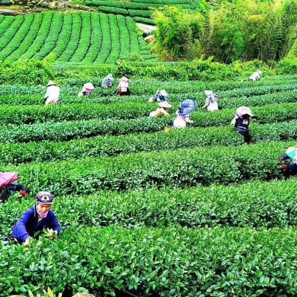 Tianyi Homestay, hotel v destinaci Fenchihu