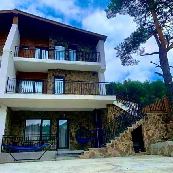 Cottage V1, hotel v destinaci Bakuriani