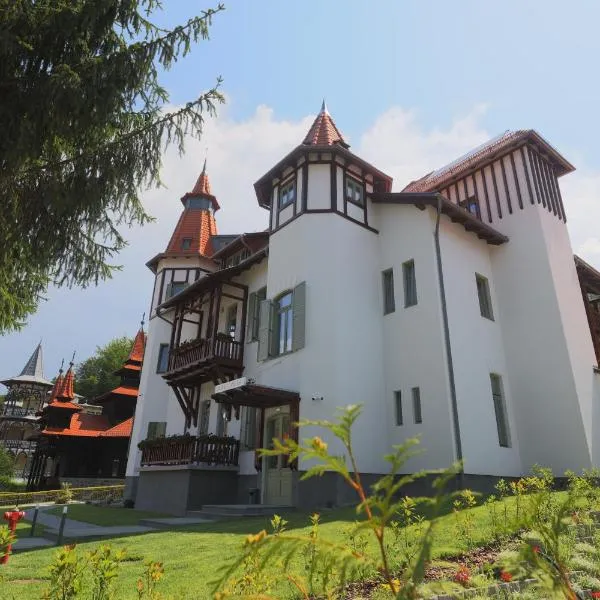 Sovata में, होटल Turul Villa