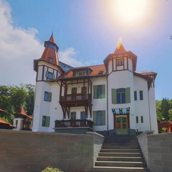 Turul Villa, hotel v destinaci Sovata