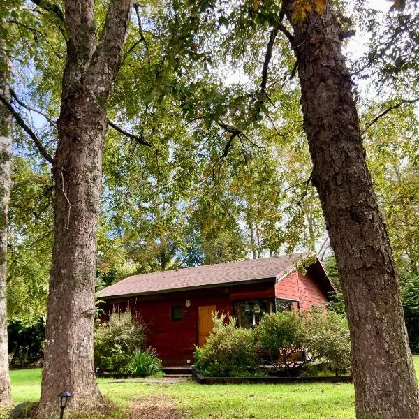 Cabaña entre árboles, hotel a Valdivia