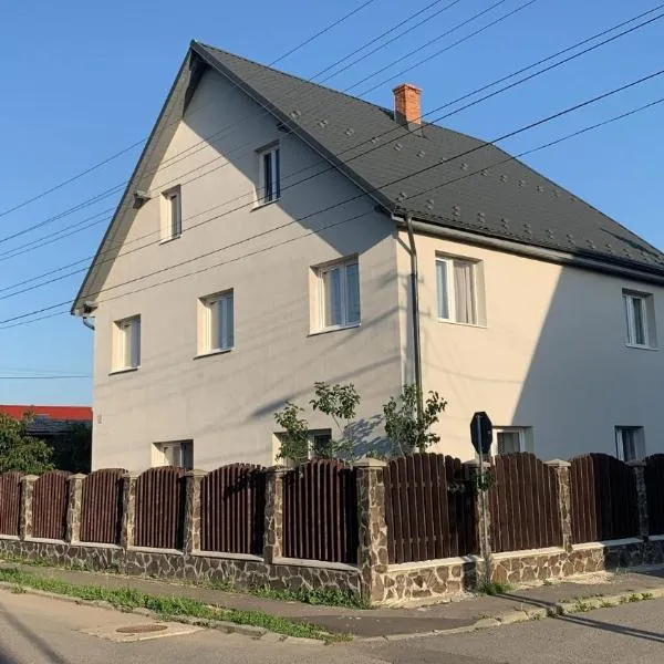 Casa Crisan, hotel v destinaci Topliţa