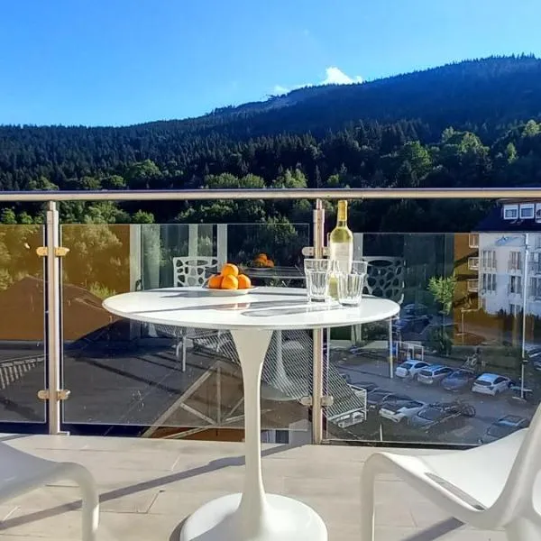 Mountain View Czarna Góra Resort, hotel in Sienna