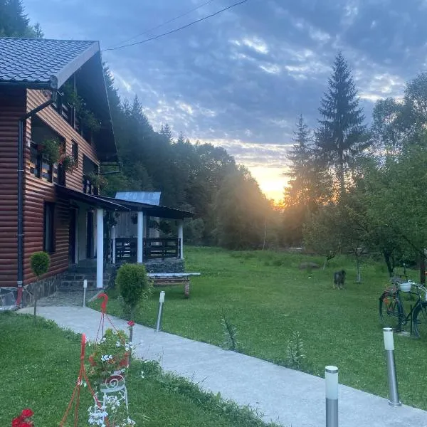 Cabana Briana, hotel in Borşa