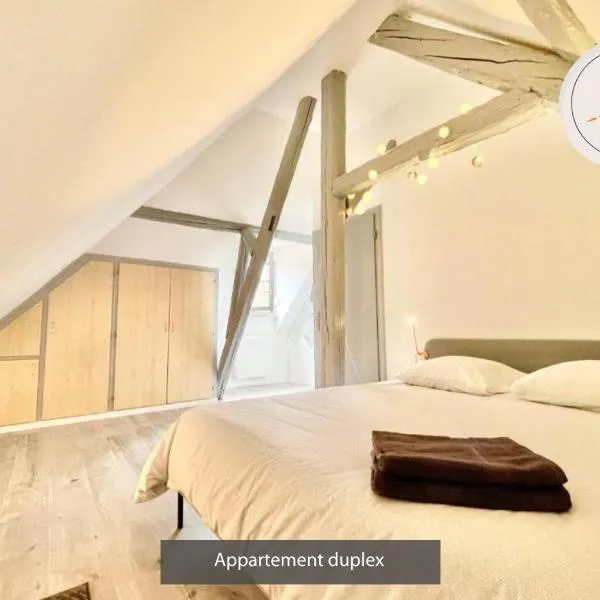 Appartements duplex 3 et 4 personnes - Climatisation - Village élu parmi les "Plus Beaux Villages de France" - Route des Vins - Centre Alsace, hotel em Bergheim