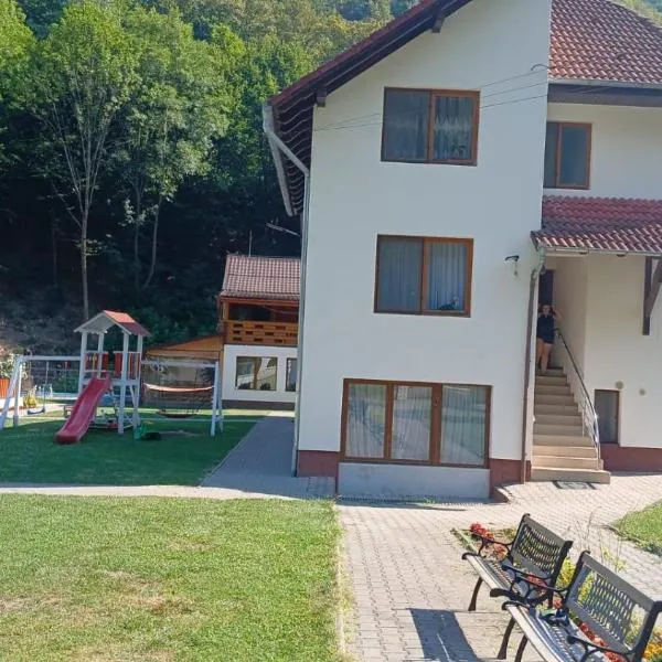 Pensiunea Casa David, hotel v destinaci Şugag