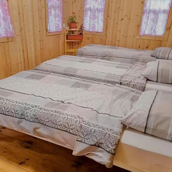 La Nea Ion, hotel di Ţaul