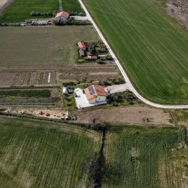 secitrovi, hotel in Fano