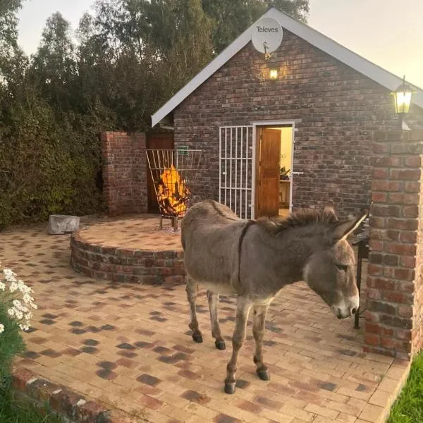 Rivier-Plesier Cottage at Riggton River Farm，邦尼韋爾的飯店