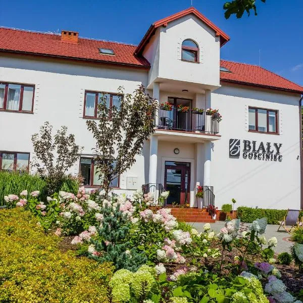 Biały Gościniec, hotel v destinaci Ciechanów