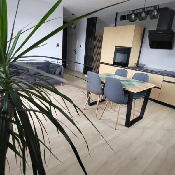 Apartament SOLO, hotel v destinácii Pruszcz Gdański