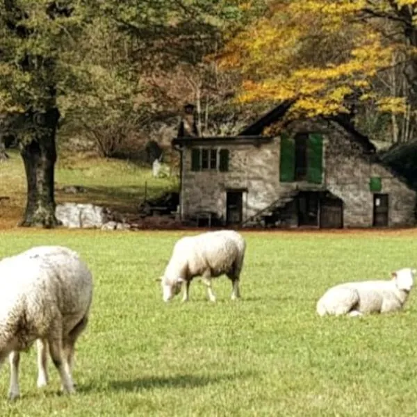 Rustico Lucia, khách sạn ở Gordevio