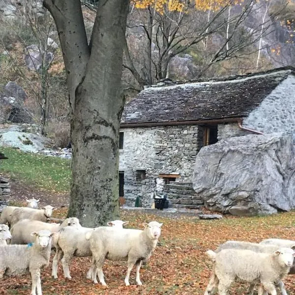 Rustico Gin Avegno Torbecc, Vallemaggia, Tessin,, hotel u gradu Gordevio