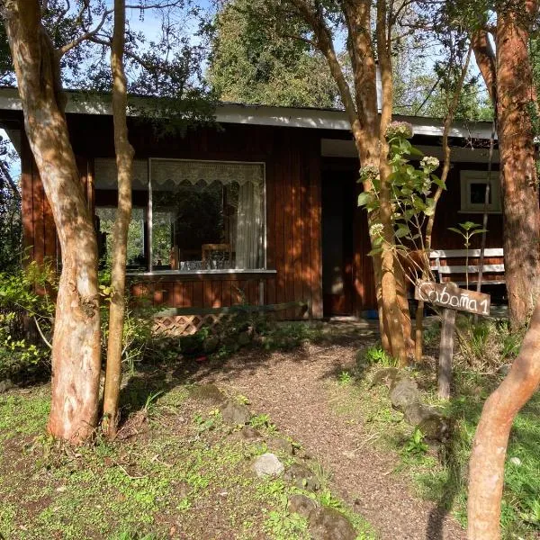 Cabañas el Bosque Patagónico, Hotel in Frutillar