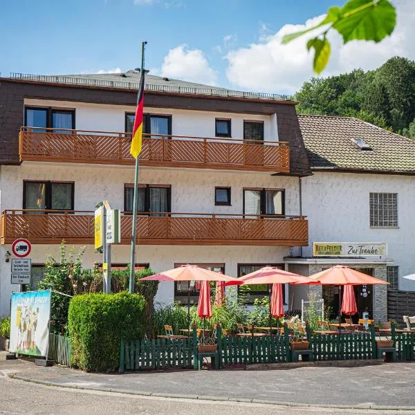 Gasthof Zur Traube, hotel v destinaci Finkenbach