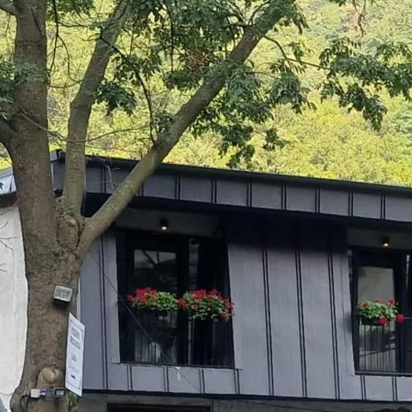 Pensiunea Casa Dimitrios-Baile Herculane -Casă Boemă cu vedere la munte apă atmosferă intimă, hotel di Băile Herculane