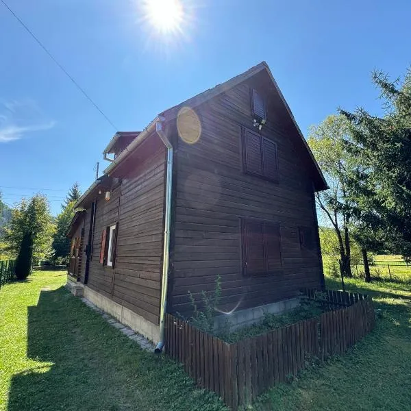 Mountain Cabin Retreat - Terrace, BBQ, Hot Tub, Hotel in Lunca Bradului