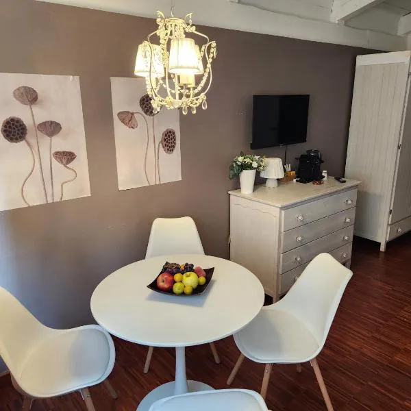 Gaia Suites - A due passi dal centro - Parcheggio privato, hotel v Turíně
