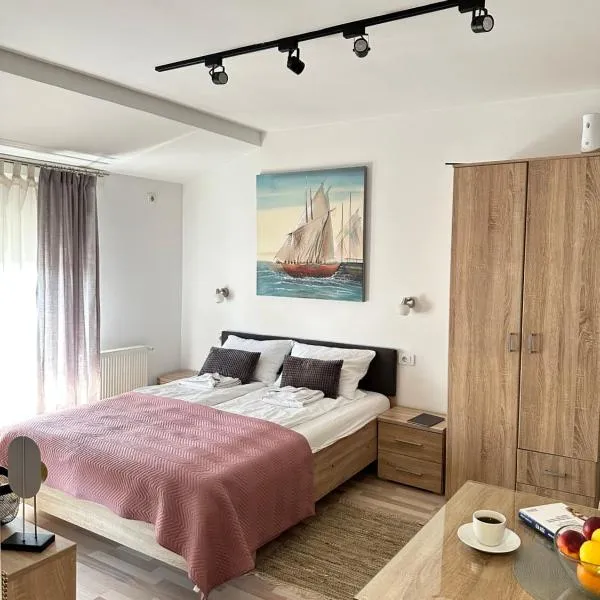 Apartments Velickovic, готель у місті Сокобаня