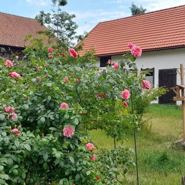 Ostoja Kamionki、ギジツコのホテル