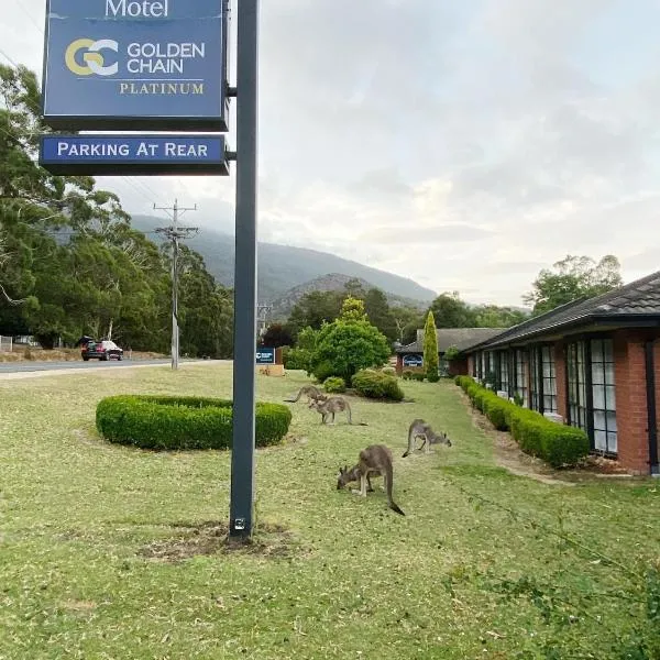 Golden Chain Country Plaza Motel Halls Gap, hotel in Halls Gap