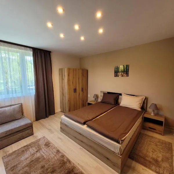 Къща за гости ЕВА, hotel v destinaci Madzhare