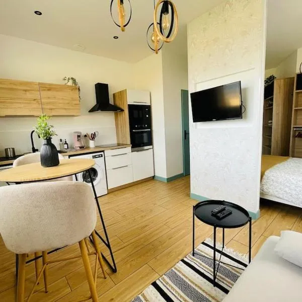 Studio Ô terrasses de Virieu, hôtel à Pélussin