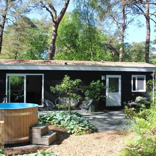 Mooi 4p Wellness chalet in het Bos met finse Sauna en Hottub, hotel in Diever