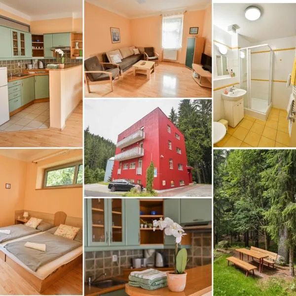 Apartmány Ados, hotel v destinaci Harrachov